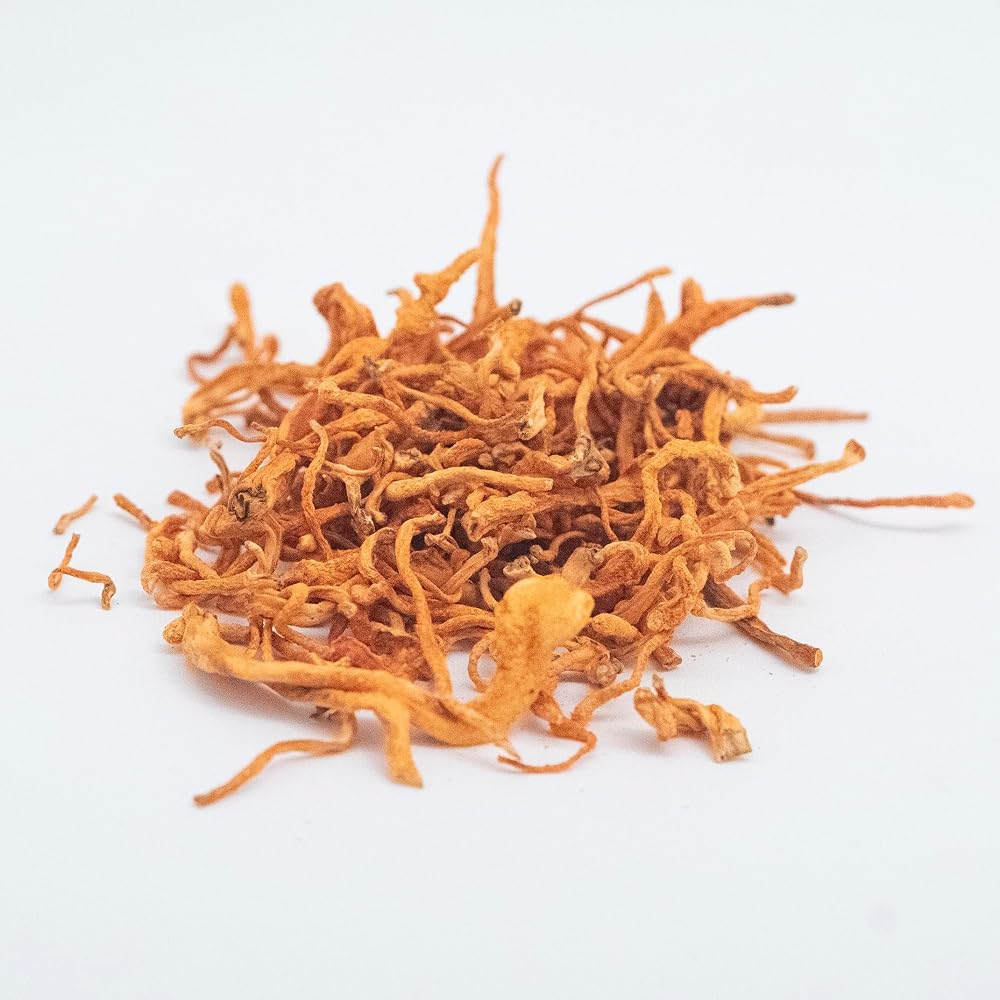 Hodgins Harvest Organic Dried Cordyceps - 1 Ounce - image 3