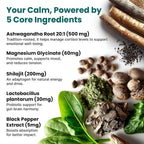 PrimeMD 5-in-1 Cortisol Supplement with Ashwagandha for Mood