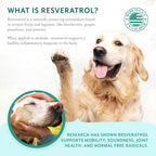 Petthrive Resveratrol Chews Dog Supplement - image 5