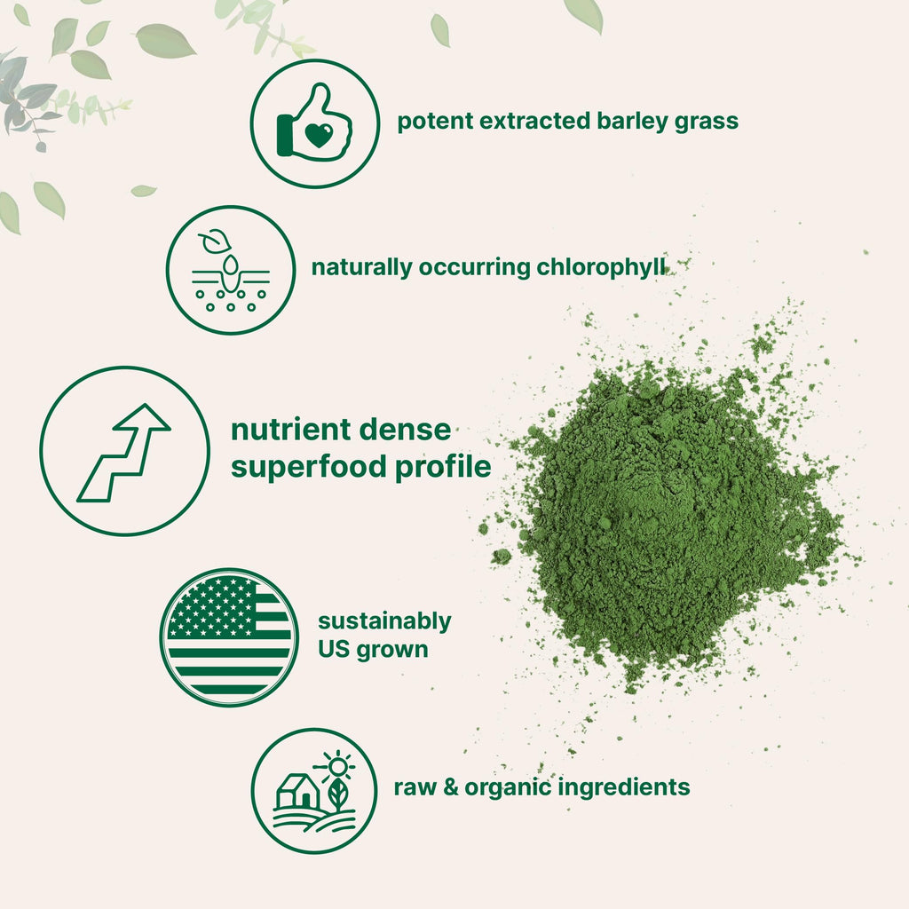 Micro Ingredients Organic Barley Grass Powder - 16 Ounces - image 4