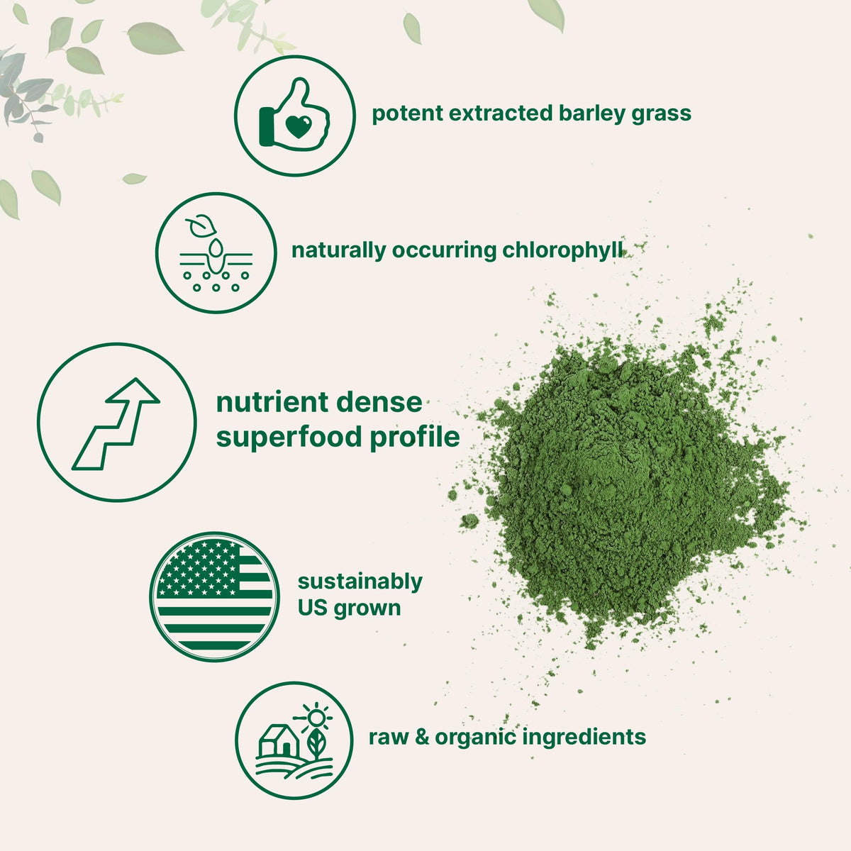 Micro Ingredients Organic Barley Grass Powder - 16 Ounces - image 4