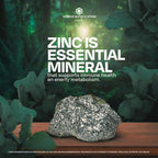 Unique Bundle Zinc 50mg, 200 Caplets - Dietary Supplement, Zinc
