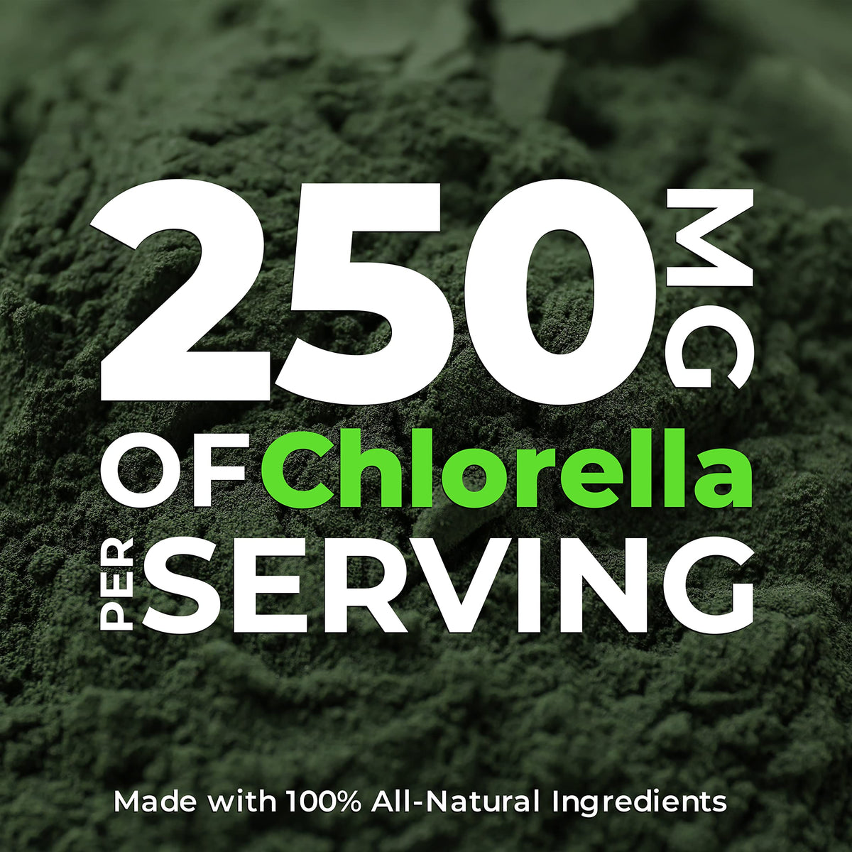 Earth Circle Organics Chlorella Tablets Superfood - 400 Count - image 2