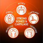 X Ray Dol Triple Action Joint Support Supplement - 60 Tablets - image 5