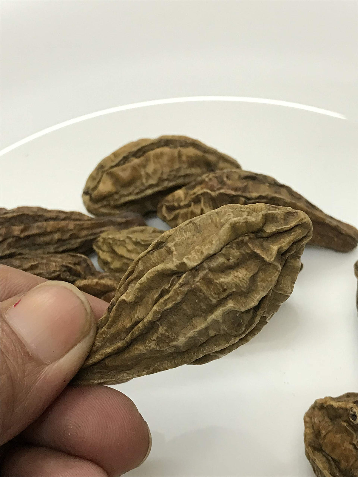 SANAA ZESTY HARAD (Haritaki) Whole / Terminalia chebula / INDIAN