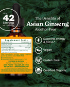 Herb Pharm Alcohol-Free Asian (Panax) Ginseng Glycerite for Energy