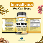 American Standard Supplements Organic Sea Moss Bladderwrack Burdock Root - image 8
