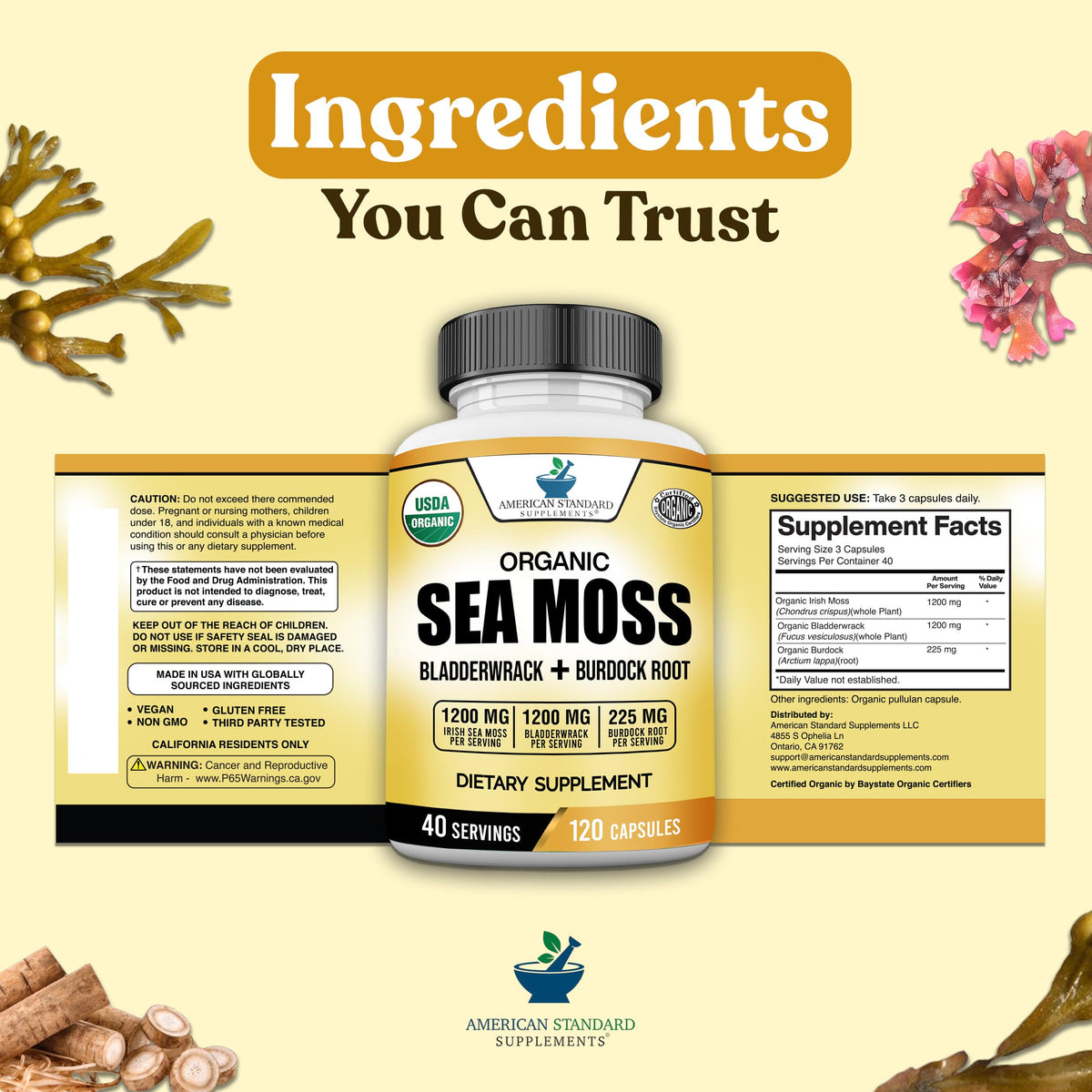 American Standard Supplements Organic Sea Moss Bladderwrack Burdock Root - image 8