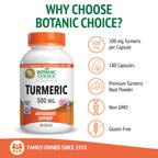 Botanic Choice Turmeric 500mg Joint & Antioxidant Support - 180 Capsules - image 4