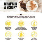 Ambrosia Planta - Premium Plant-Based Protein
