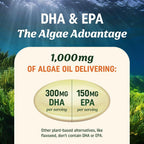 MAV NUTRITION Algae_Parent_555