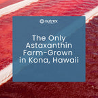 Nutrex Hawaii BioAstin Hawaiian Astaxanthin 12mg - 90 Softgels - image 8