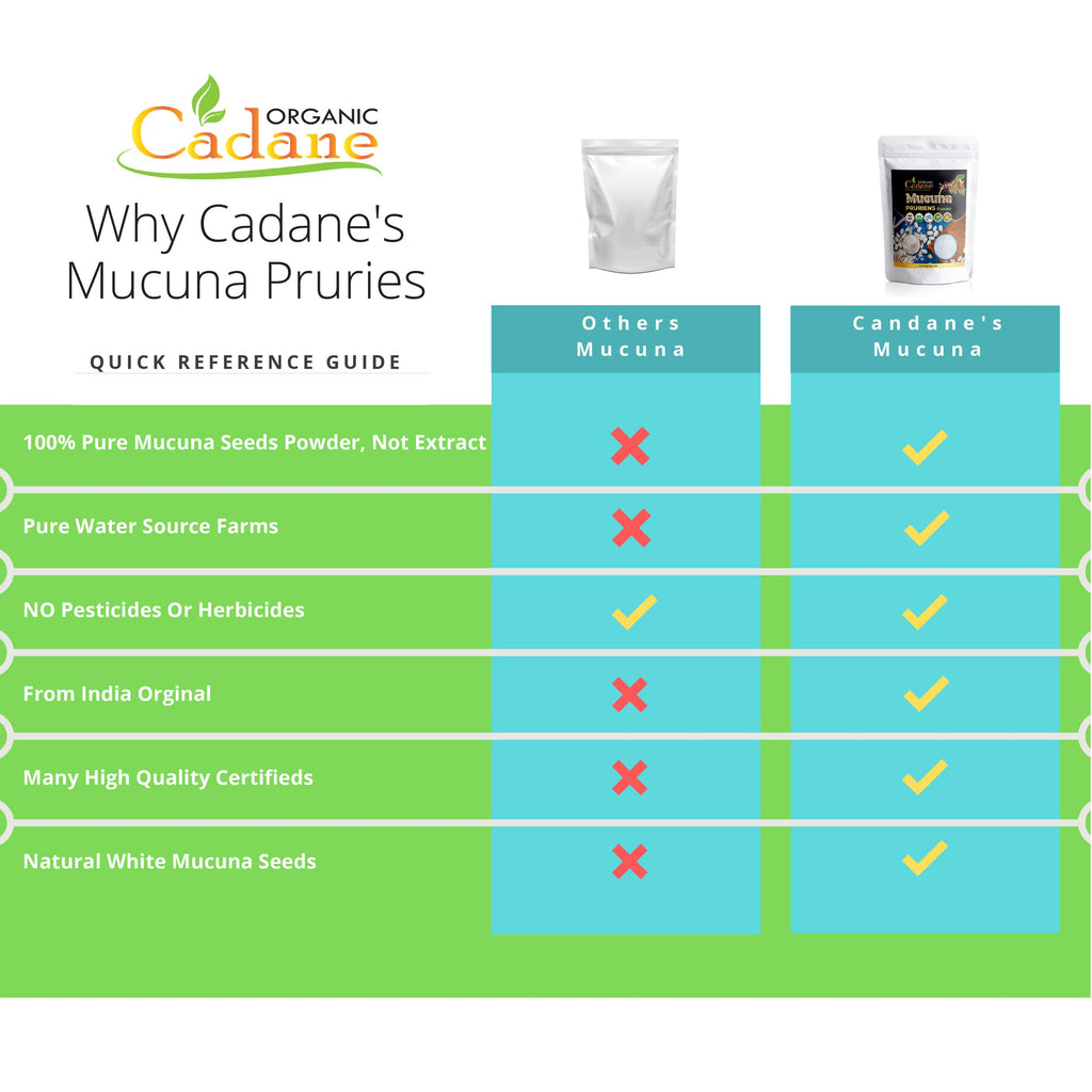 Organic Cadane Mucuna Pruriens Powder for Energy - 1 Pound - image 5