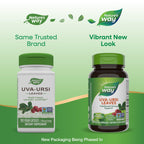 Nature's Way Uva Ursi Leaves Herbal Capsules - 1110 mg - 200 Count - image 3