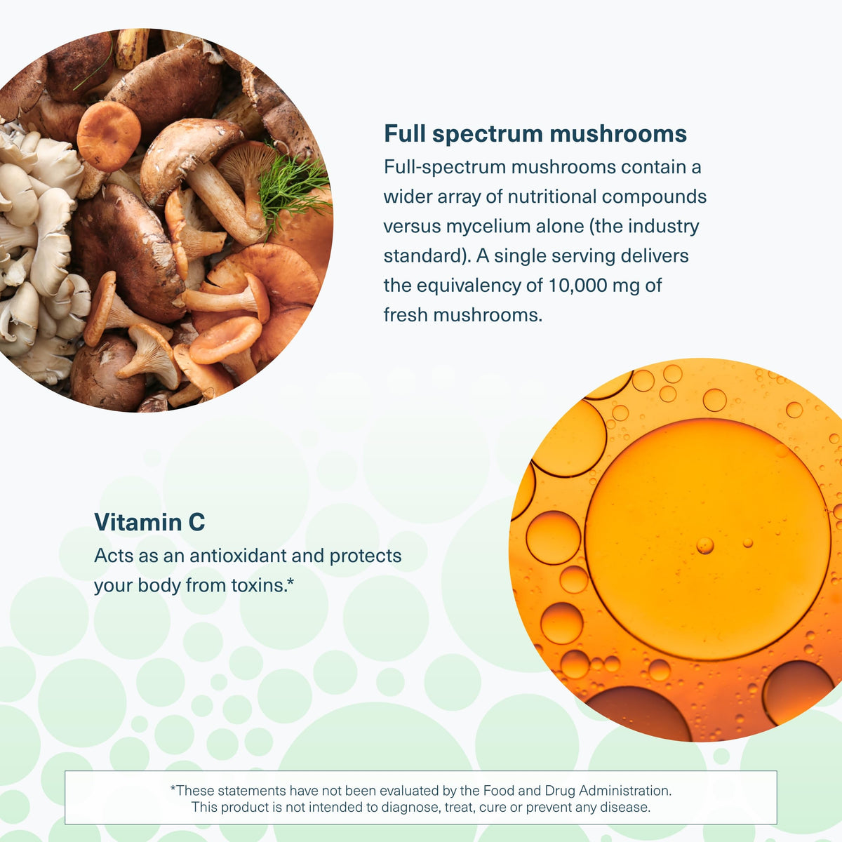Youtheory Immune+ Daily Wellness Supplement - 60 Vegetarian Capsules - image 5