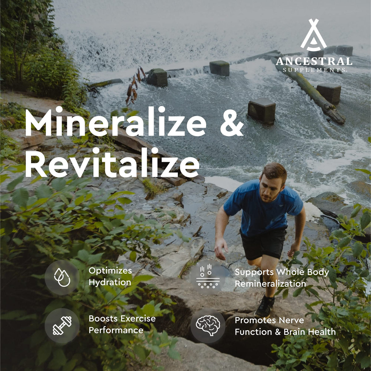 Ancestral Supplements Minerals & Electrolytes - 180 Capsules - image 3