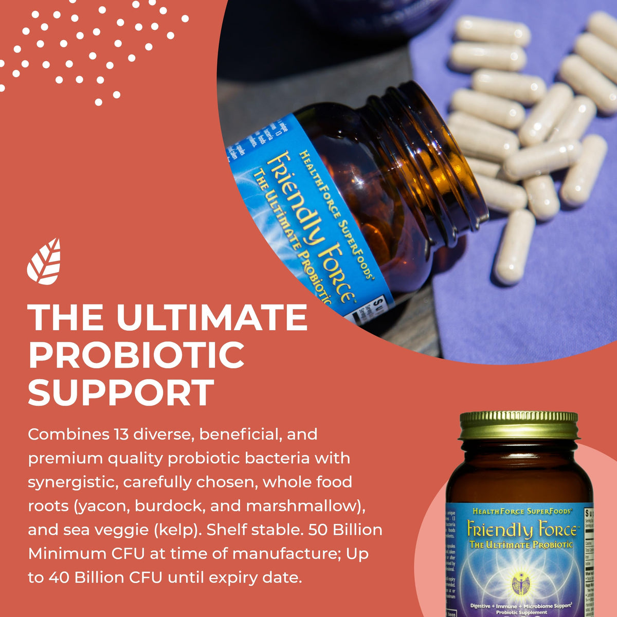 HEALTHFORCE SUPERFOODS Friendly Force Probiotic - 60 Capsules - image 4