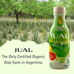 JUAL Healthy Organic Aloe Vera Juice drink- Grapefruit Flavor - Aloe