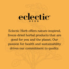 Eclectic Herb ParaFight Herbal Glycerite - 2 fl oz - image 6