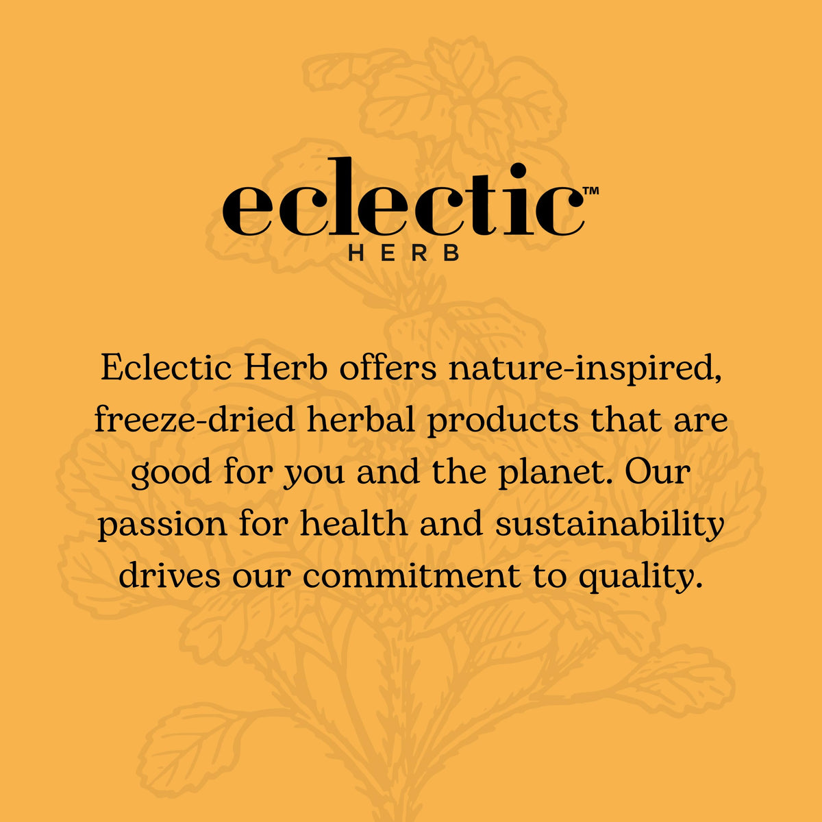 Eclectic Herb ParaFight Herbal Glycerite - 2 fl oz - image 6