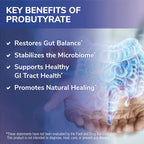 Tesseract ProButyrate Butyric Acid Gut Health - 120 Capsules - image 3