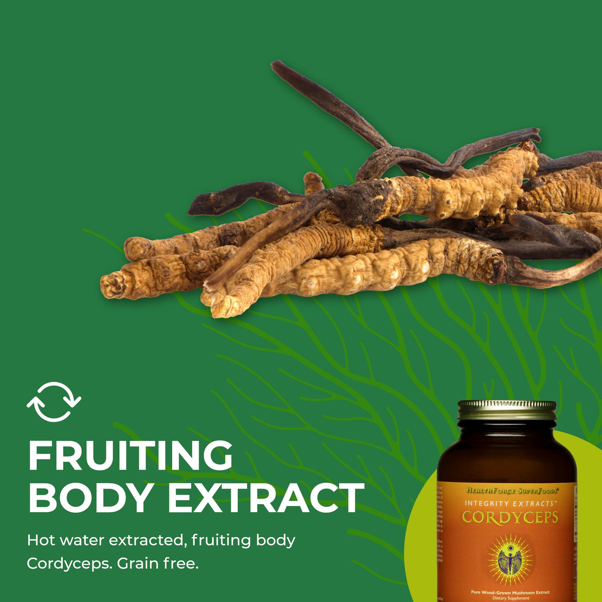 HEALTHFORCE SUPERFOODS Integrity Extracts Cordyceps Powder - 130g - image 6