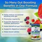 Vital Planet Vital Gut Boost Powder - 30 Servings - image 3