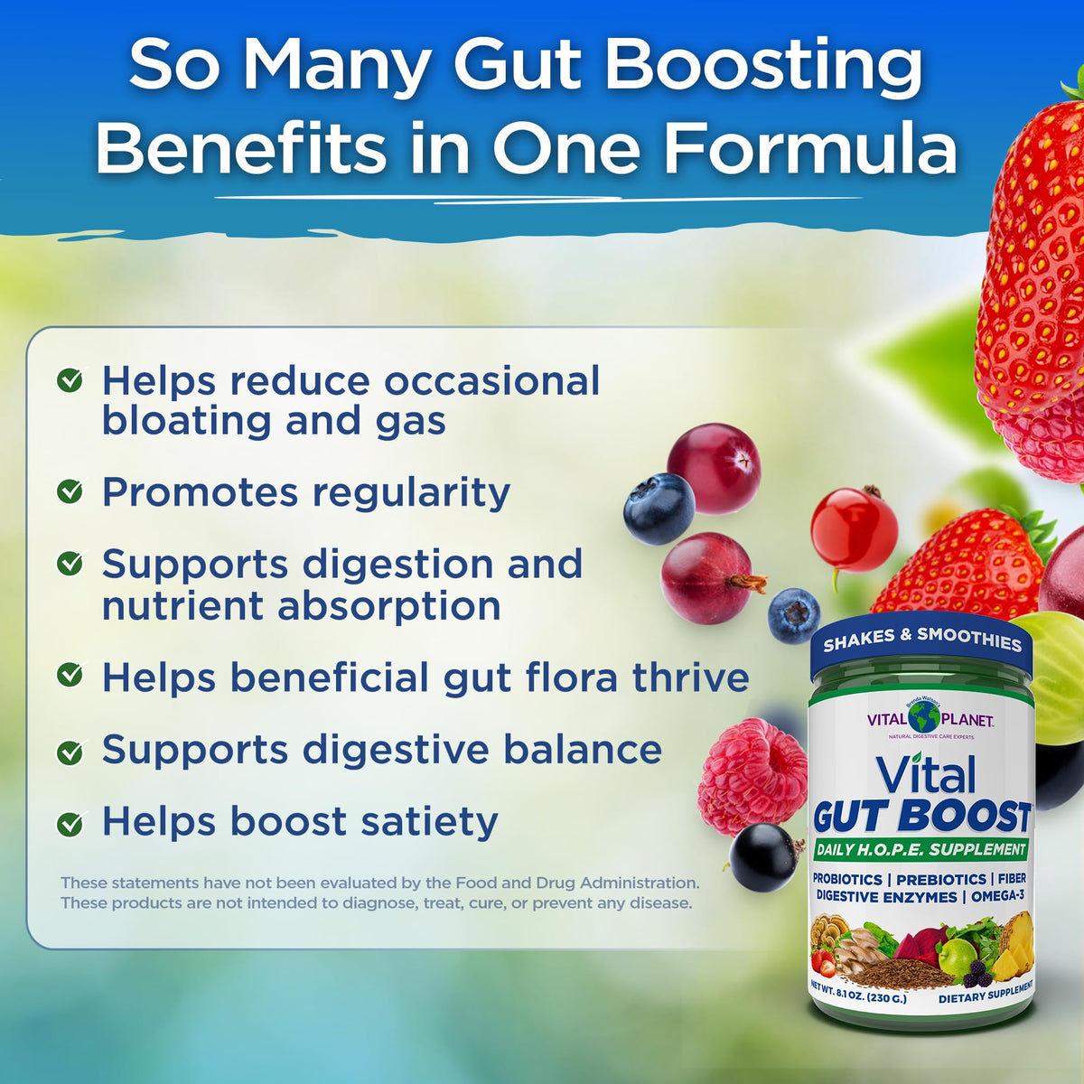Vital Planet Vital Gut Boost Powder - 30 Servings - image 3