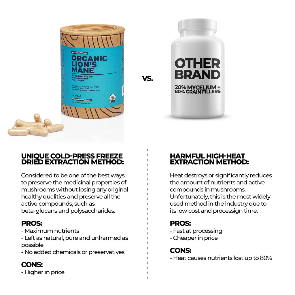 Wellnest.Store Lions Mane Mushroom Organic Supplement (Hericium