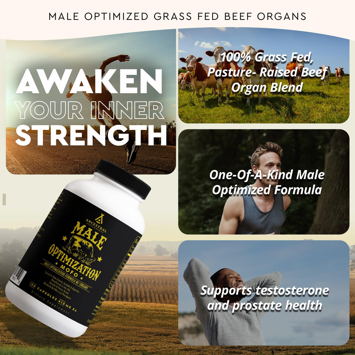 Ancestral Supplements ASBS