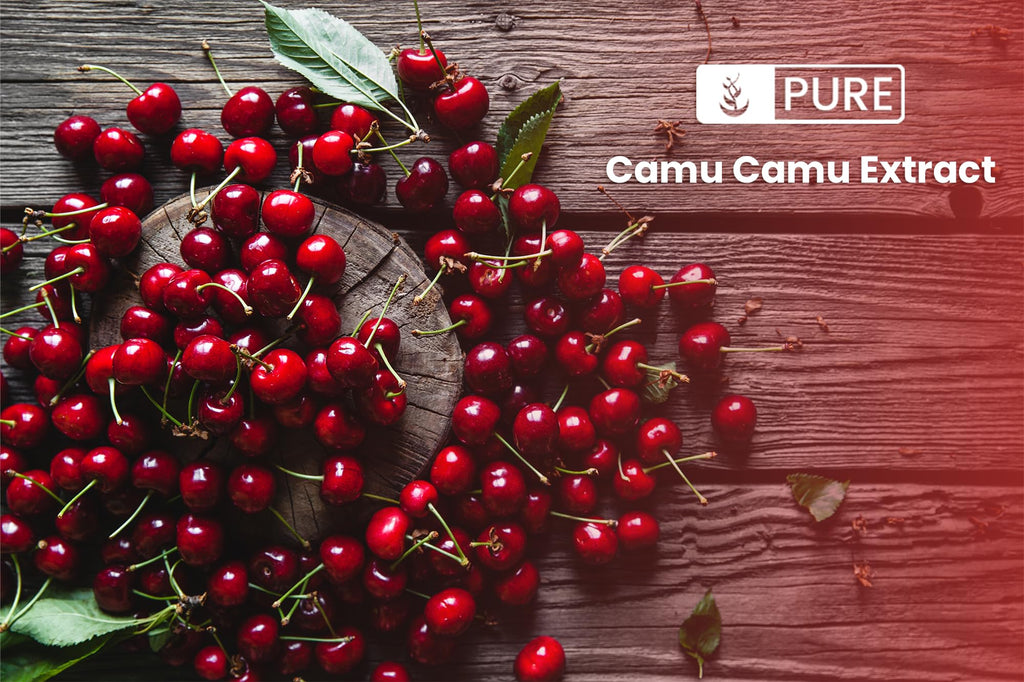 Pure Original Ingredients Camu Camu
