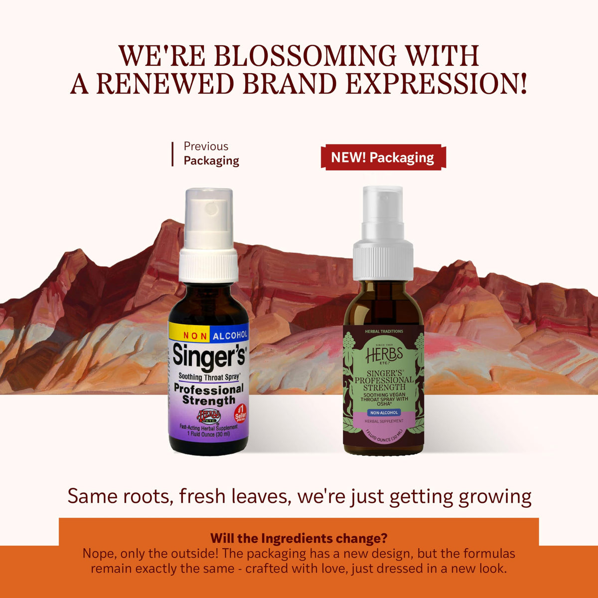 Herbs Etc. Singer's Saving Grace Professional Strength Throat Spray - 1 fl oz - image 2