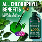 Alpha Flow Liquid Chlorophyll 600mg - 2 Pack - image 7