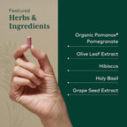 Gaia Herbs PRO Systolic Complex Cardiovascular Support - 60 Capsules - image 4