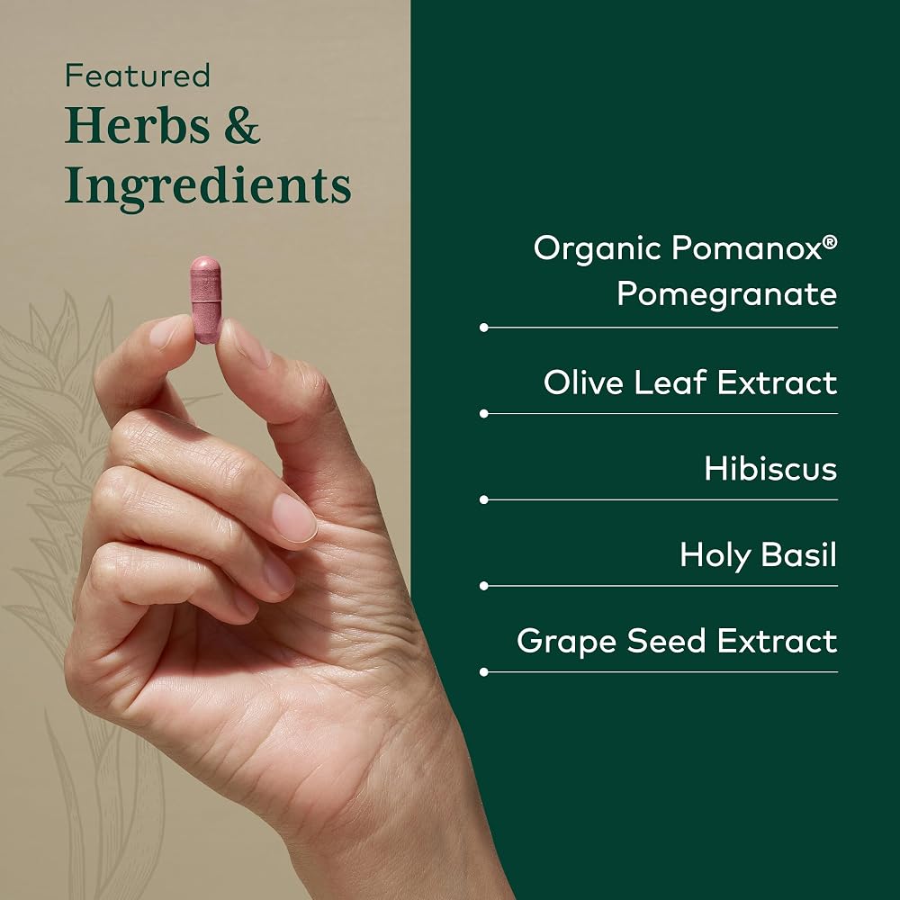 Gaia Herbs PRO Systolic Complex Cardiovascular Support - 60 Capsules - image 4