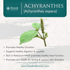 bixa BOTANICAL Achyranthes Aspera Powder - 200 Grams - image 2