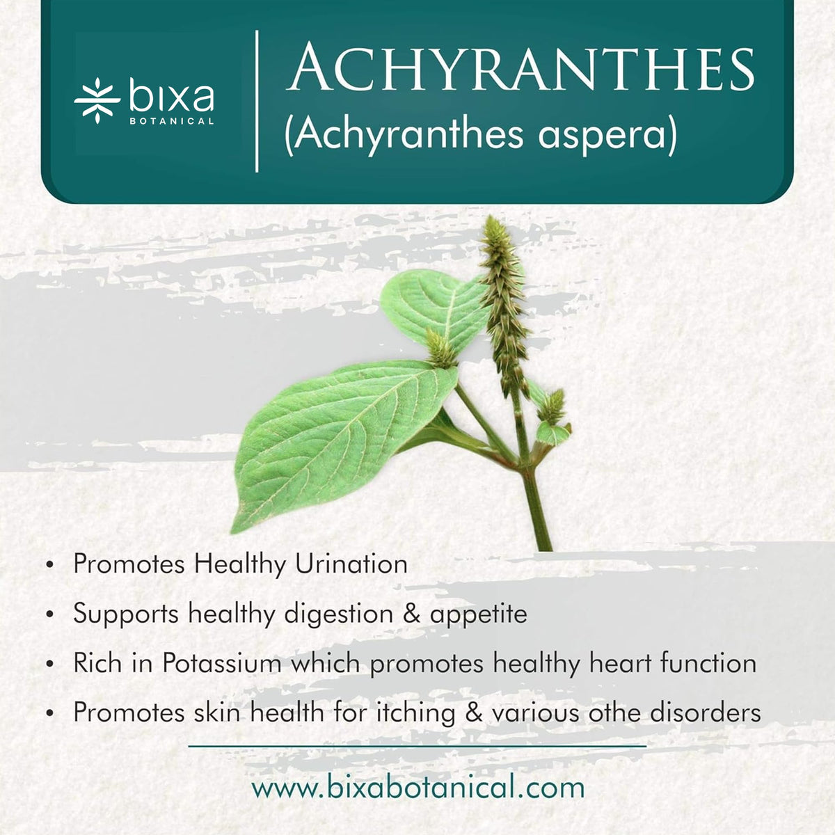 bixa BOTANICAL Achyranthes Aspera Powder - 200 Grams - image 2