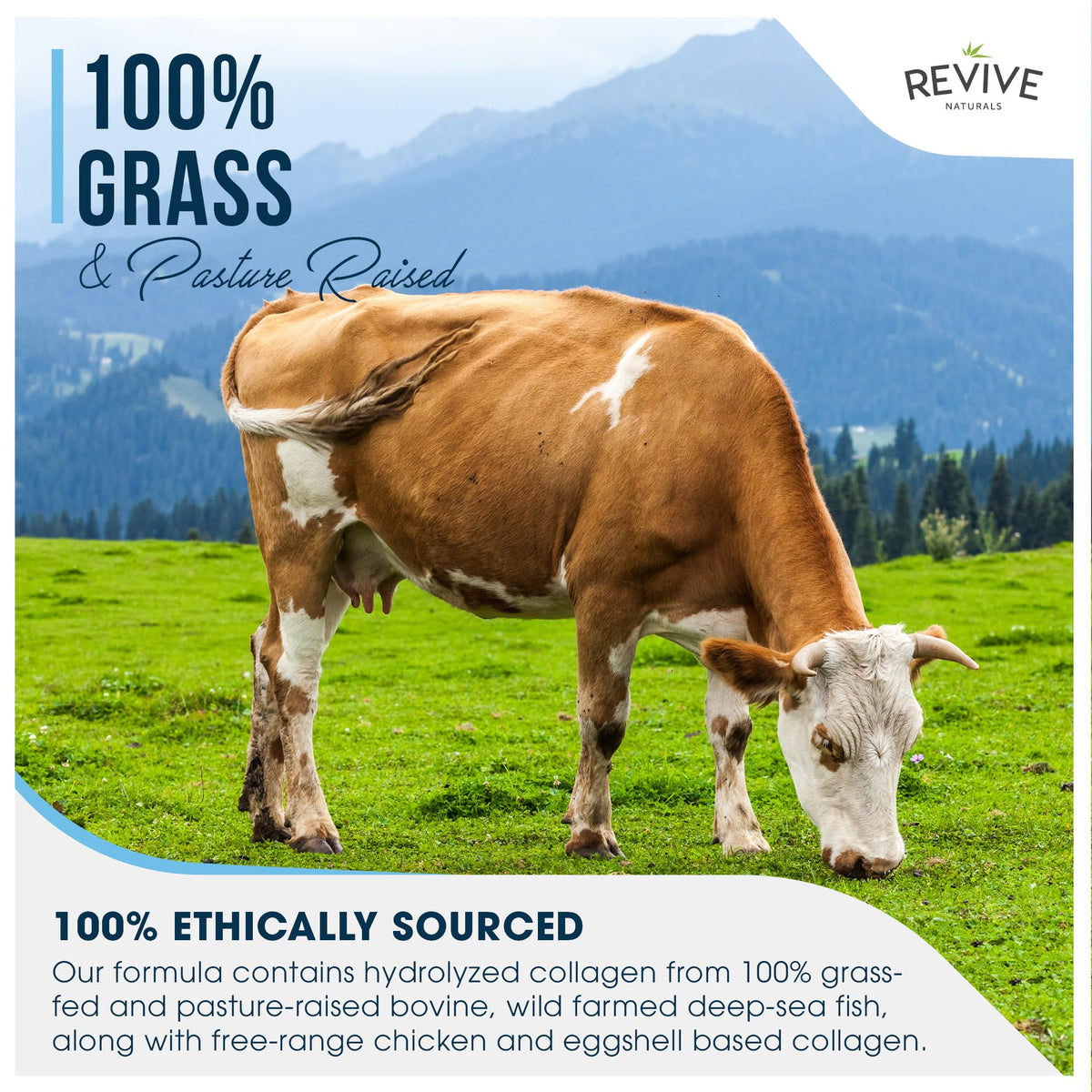 Revive Naturals Multi Collagen Protein Capsules - 120 Capsules - image 3