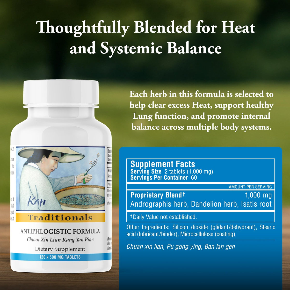 Kan Herb Company Antiphlogistic Formula Tablets - 120 Tablets - image 3