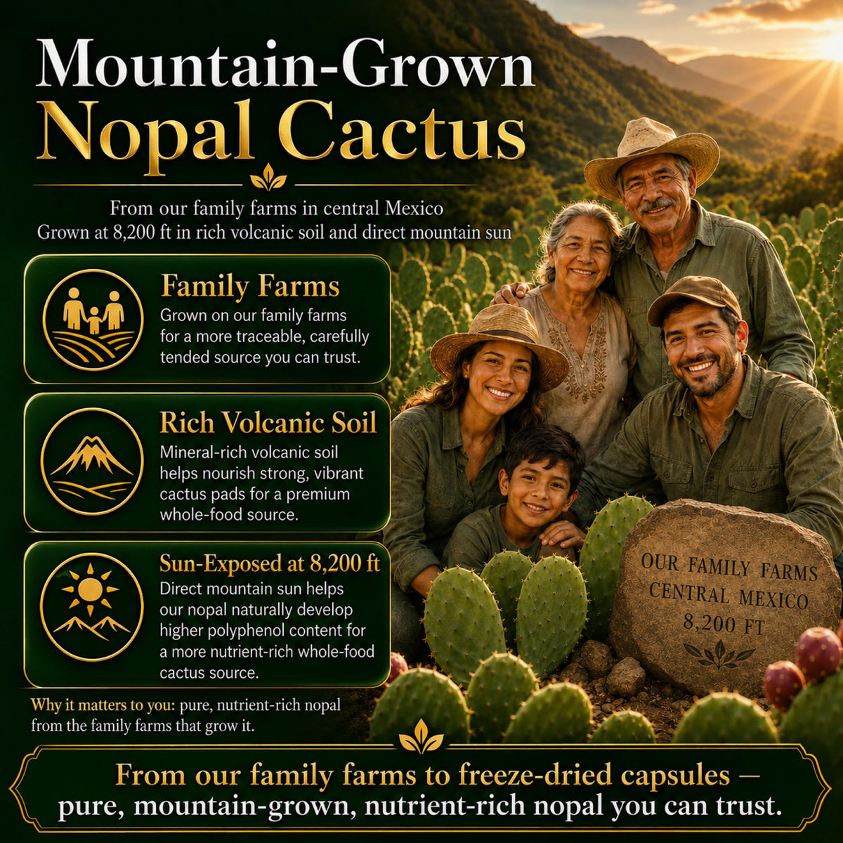 Natural Home Cures Freeze-Dried Nopal Cactus Capsules - 120 Vegan Capsules - image 7