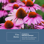 Eclectic Institute Vitabiotic Immune Support - 150 Capsules - image 3