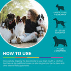 DR.GARBER'S Maxwell Pet Calm & Happy Stress Relief for Dogs - 3 fl oz - image 5