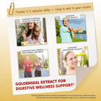 PeakPury Goldenseal Root 1500 mg with Echinacea - 150 Capsules - image 3