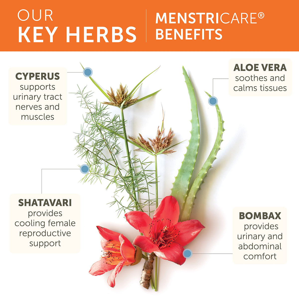 Himalaya MenstriCare Capsules for PMS Support - 120 Capsules - image 3