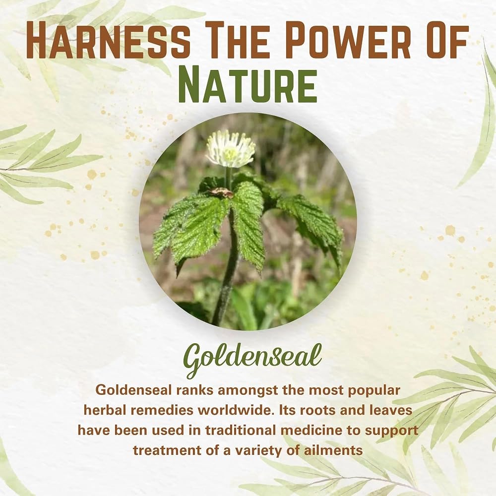 Naturfi Organic Goldenseal Root Powder - 3.5 oz - image 3