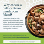 Youtheory Mushroom Stress Complex - 60 Vegetarian Capsules - image 4