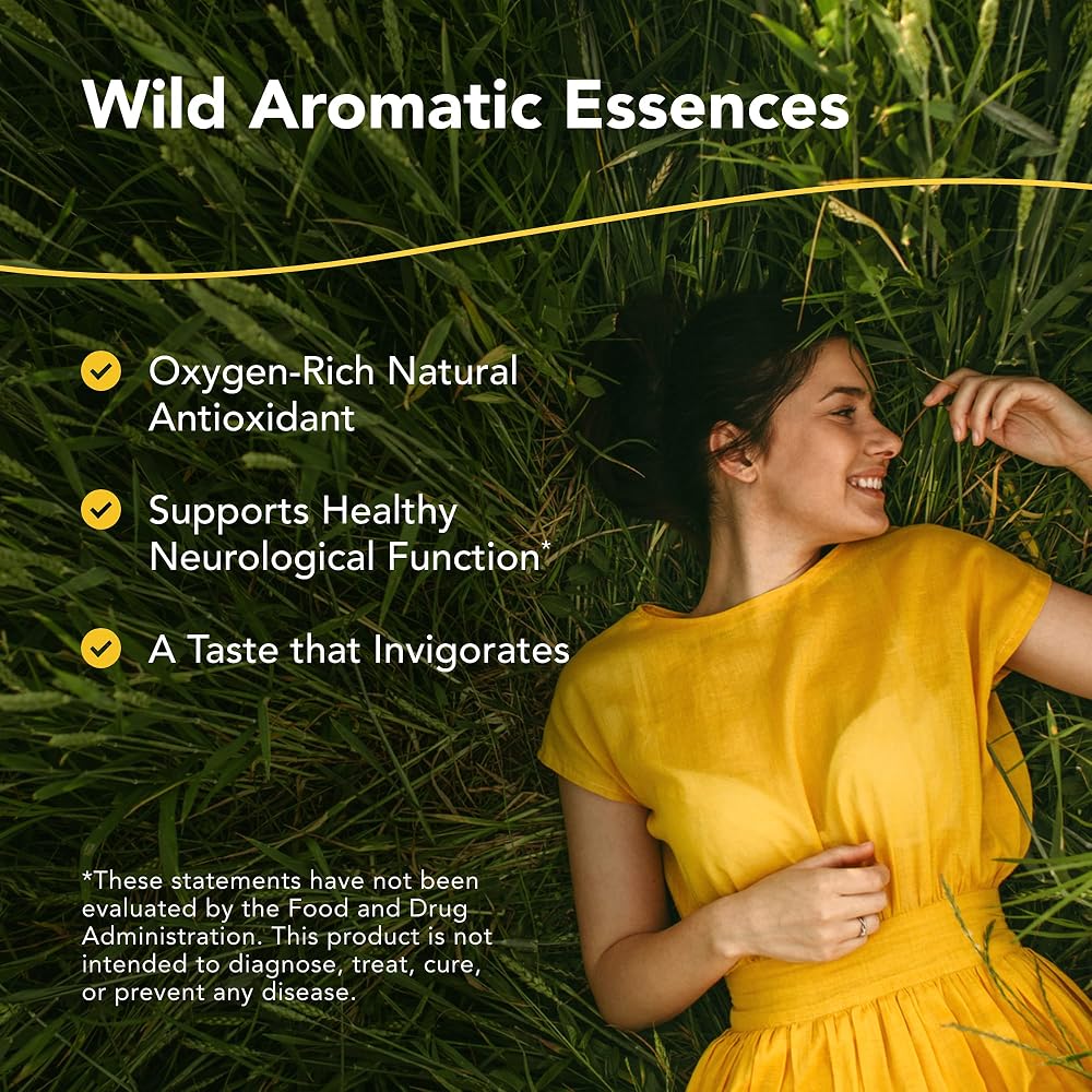 NORTH AMERICAN HERB & SPICE Neuroloft Antioxidant Tonic - 12 fl. oz. - image 2