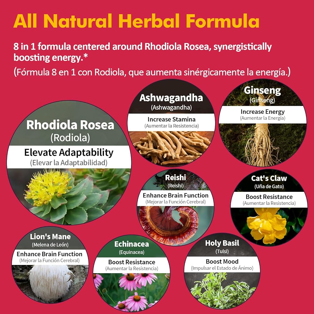 Nurbetoxa Rhodiola Rosea Herbal Drops for Energy & Brain Health - 2 Fl Oz - image 4