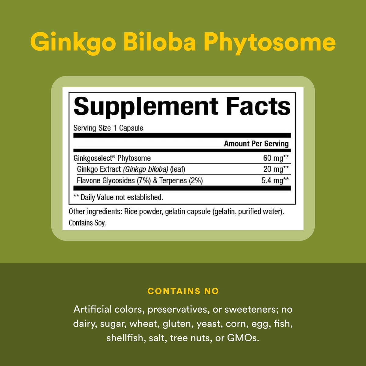 Natural Factors Ginkgo Biloba Phytosome Circulation Support - 60 Capsules - image 4