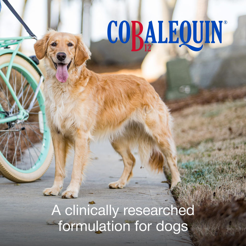 Nutramax Cobalequin Vitamin B12 for Dogs Over 21lbs - 45 Tablets - image 2